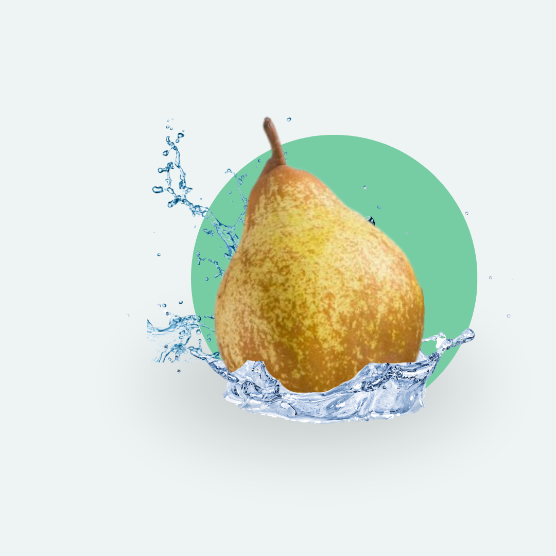 Produtos para Tratamento Pós Colheita