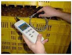 Termómetro Digital com Sonda Pontiaguda PT100